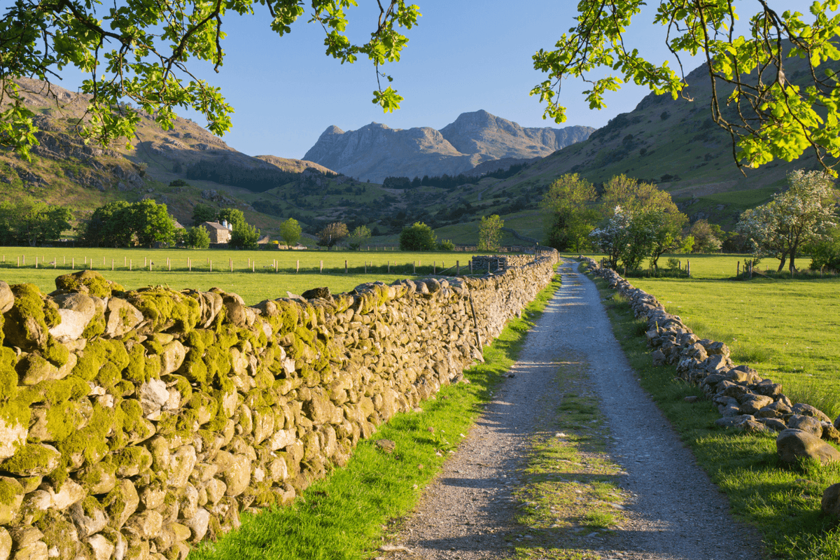 Labour draws up plans to make Britain's countryside 'less white' in nationwide diversity drive