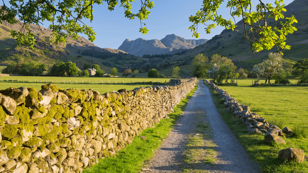 Labour draws up plans to make Britain's countryside 'less white' in nationwide diversity drive