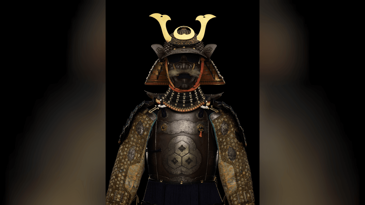 Half of all Samurai were women, bombshell British Museum exhibition claims