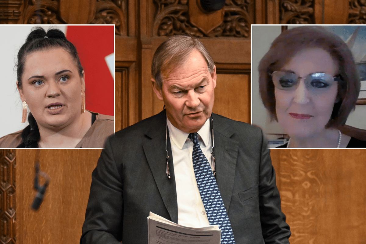 Rupert Lowe's £600k grooming gang inquiry hears shock claims of 'Eid rapes' and police cover-ups: 'Barbarians!'