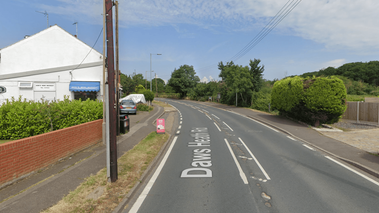 Councillor rages over 'ridiculous' £7k duck warning sign - 'I've lived here 25 years and never seen one'