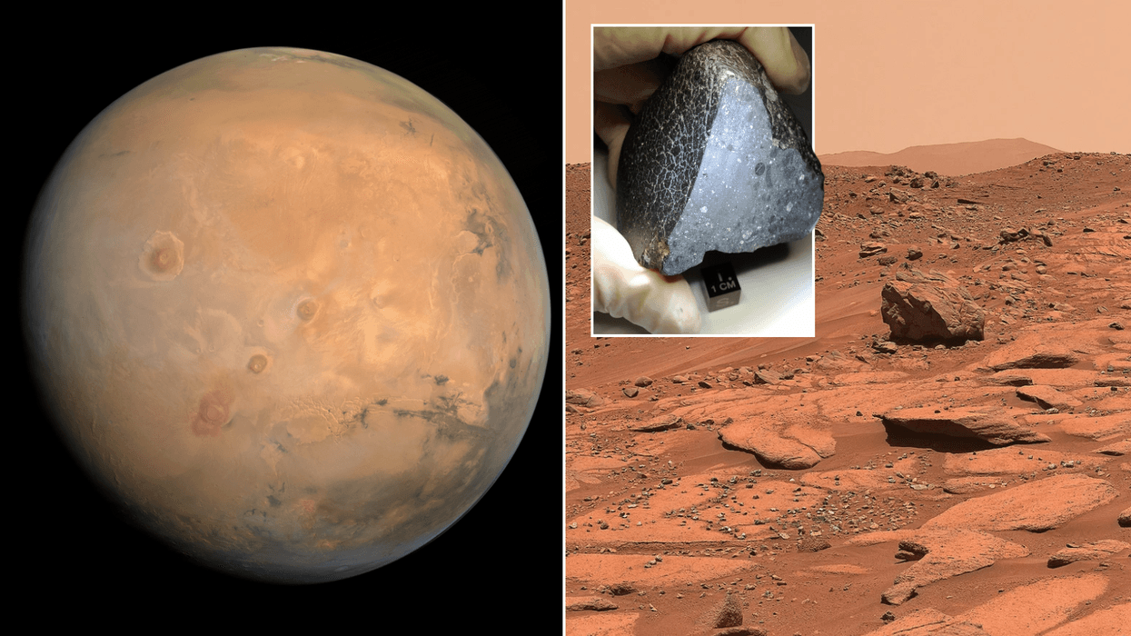 Mystery Mars rock which crashed down to Earth contains water - and potentially even life