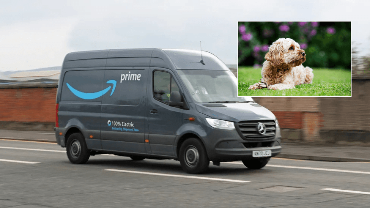 Woman left 'absolutely horrified' after Amazon driver kicked dog in head...then offered her just £10 voucher in compensation