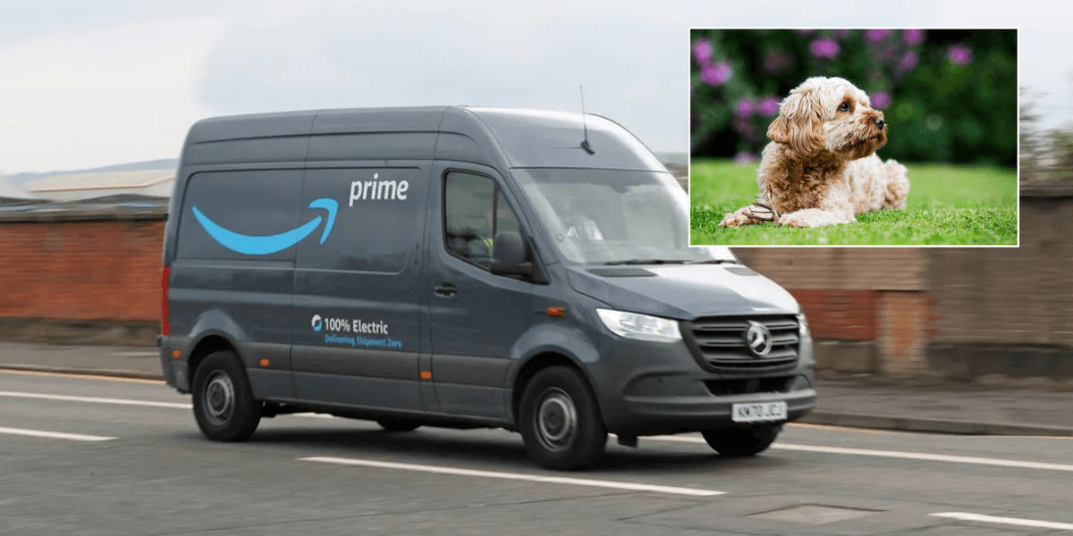 Woman left ‘absolutely horrified’ after driver kicked dog in head…then offered her just £10 voucher in compensation Woman left ‘absolutely horrified’ after driver kicked dog in head…then offered her just £10 voucher in compensation