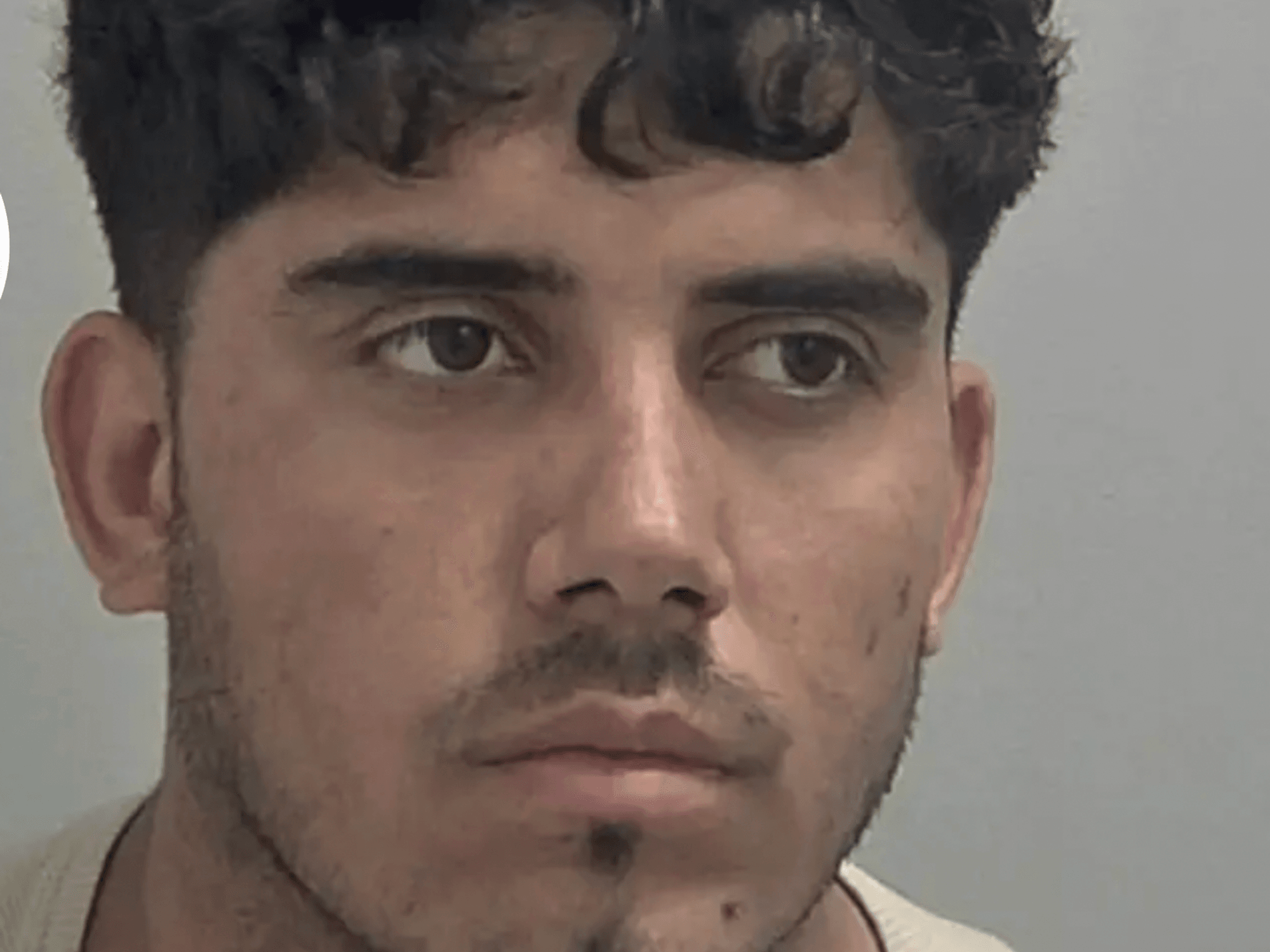 This Afghan asylum seeker rapist just detonated the dangerous myth of the far-right bogeyman - Ad...
