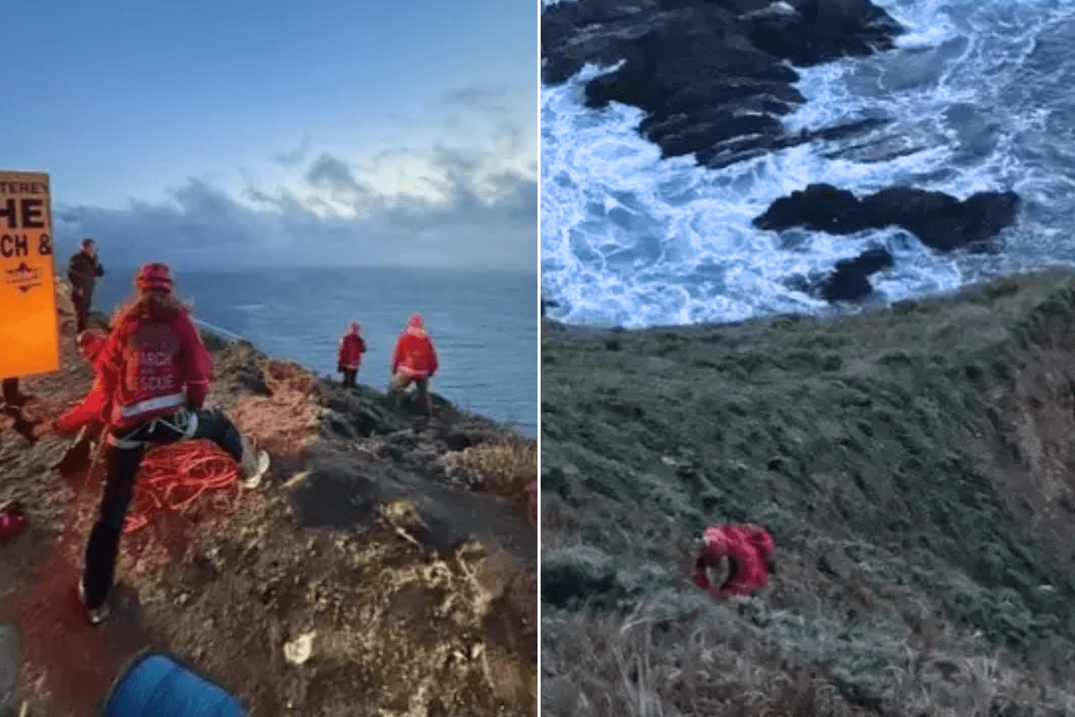 Driver killed after car plunges 500ft onto rocks from clifftop California highway