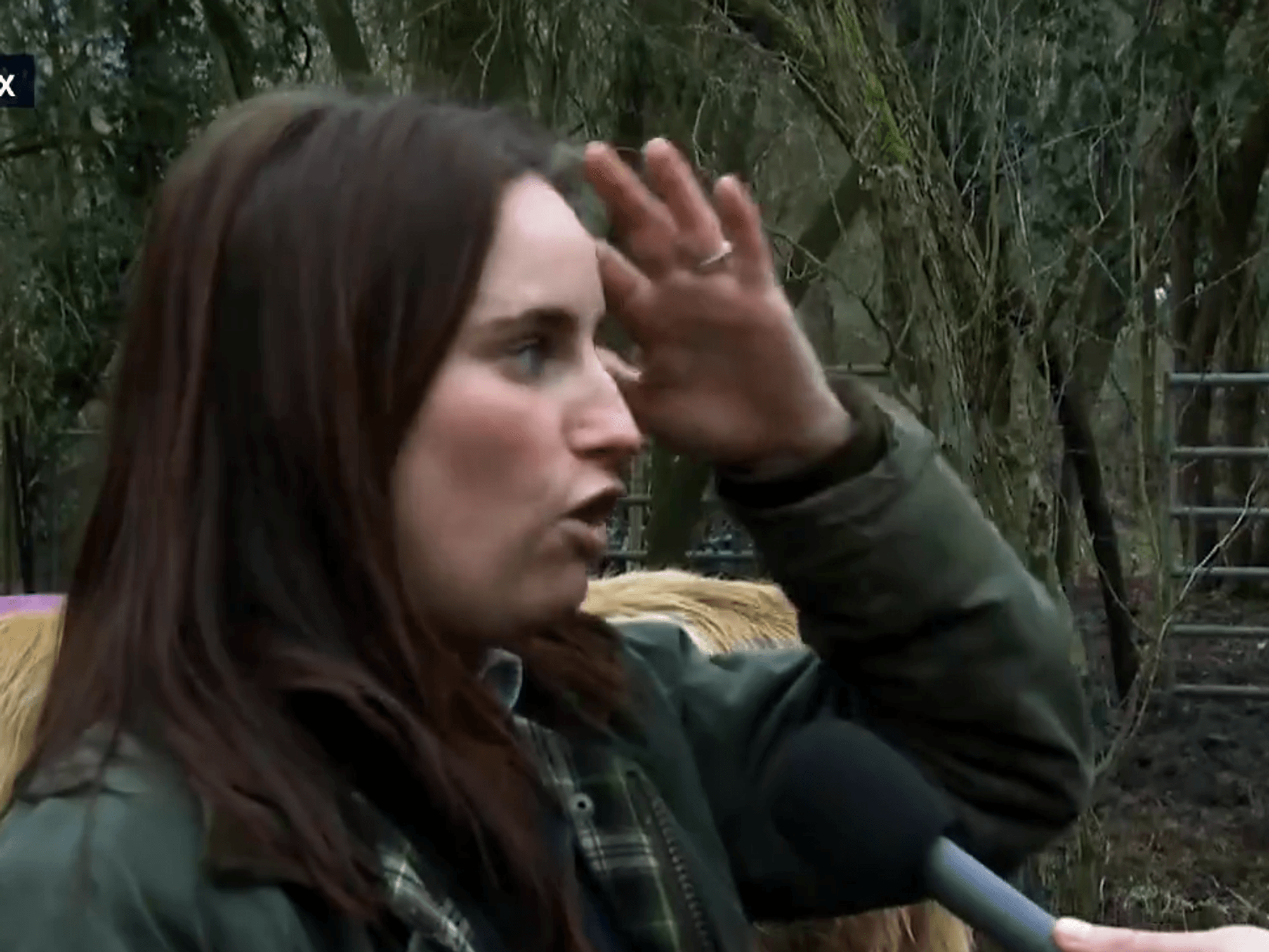 Older farmers facing 'loneliness epidemic' after Labour's 'betrayal'