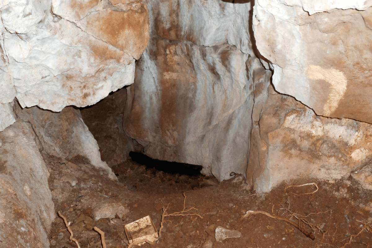 Northern England's earliest known caveman is actually little girl buried 11,000 years ago