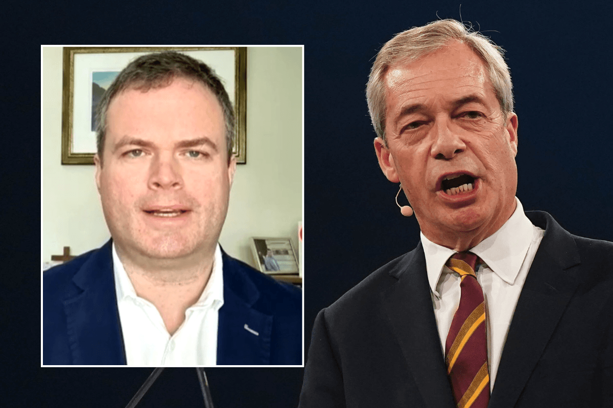 Ex-Immigration Minister slams Home Office for 'defeatist' attitude over Nigel Farage plans