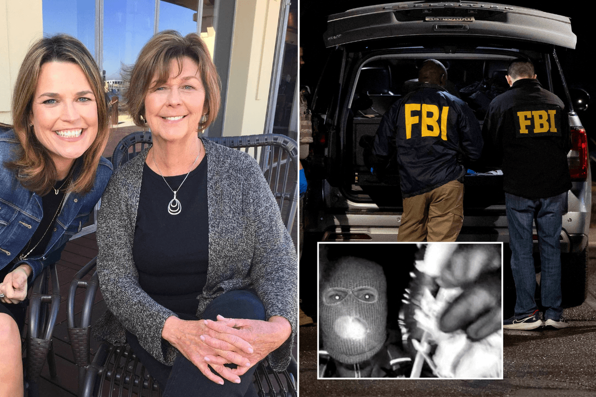 Nancy Guthrie suspect could be identified in just HOURS - as insider reveals heartbreaking motive behind kidnapping