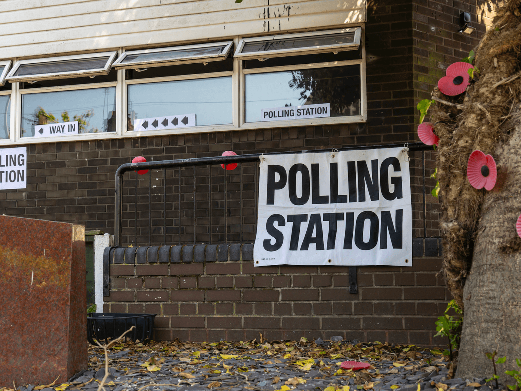 The courts intervening in Keir Starmer's election plans is a double-edged sword - Sir Michael Ellis