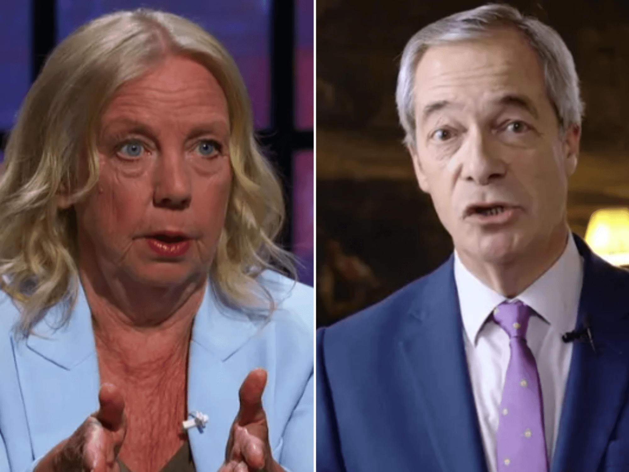 Deborah Meaden slammed as she attacks Nigel Farage over local elections U-turn: 'Champagne socialist!'