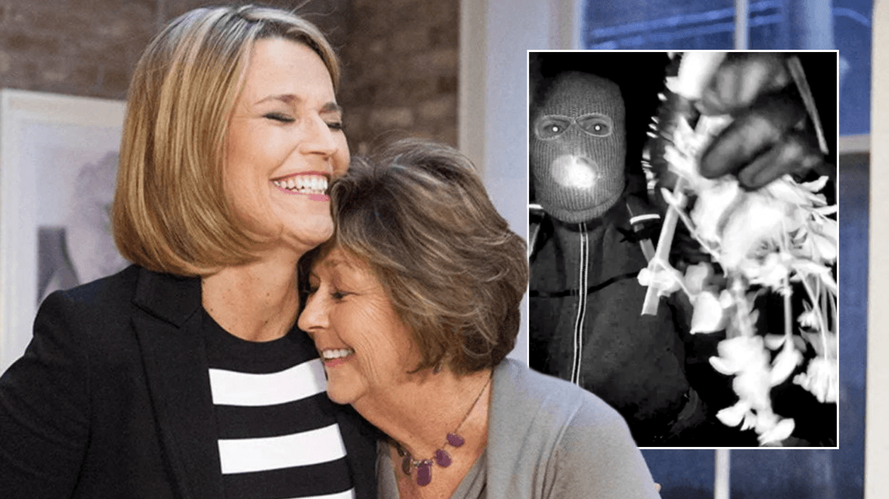 Nancy Guthrie hunt suffers major setback as DNA expert reveals 'biggest question' in case