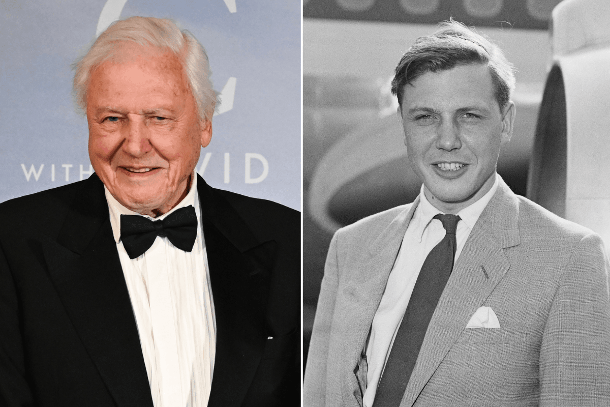 David Attenborough fans call for national bank holiday as BBC unveils major plans for his 100th birthday