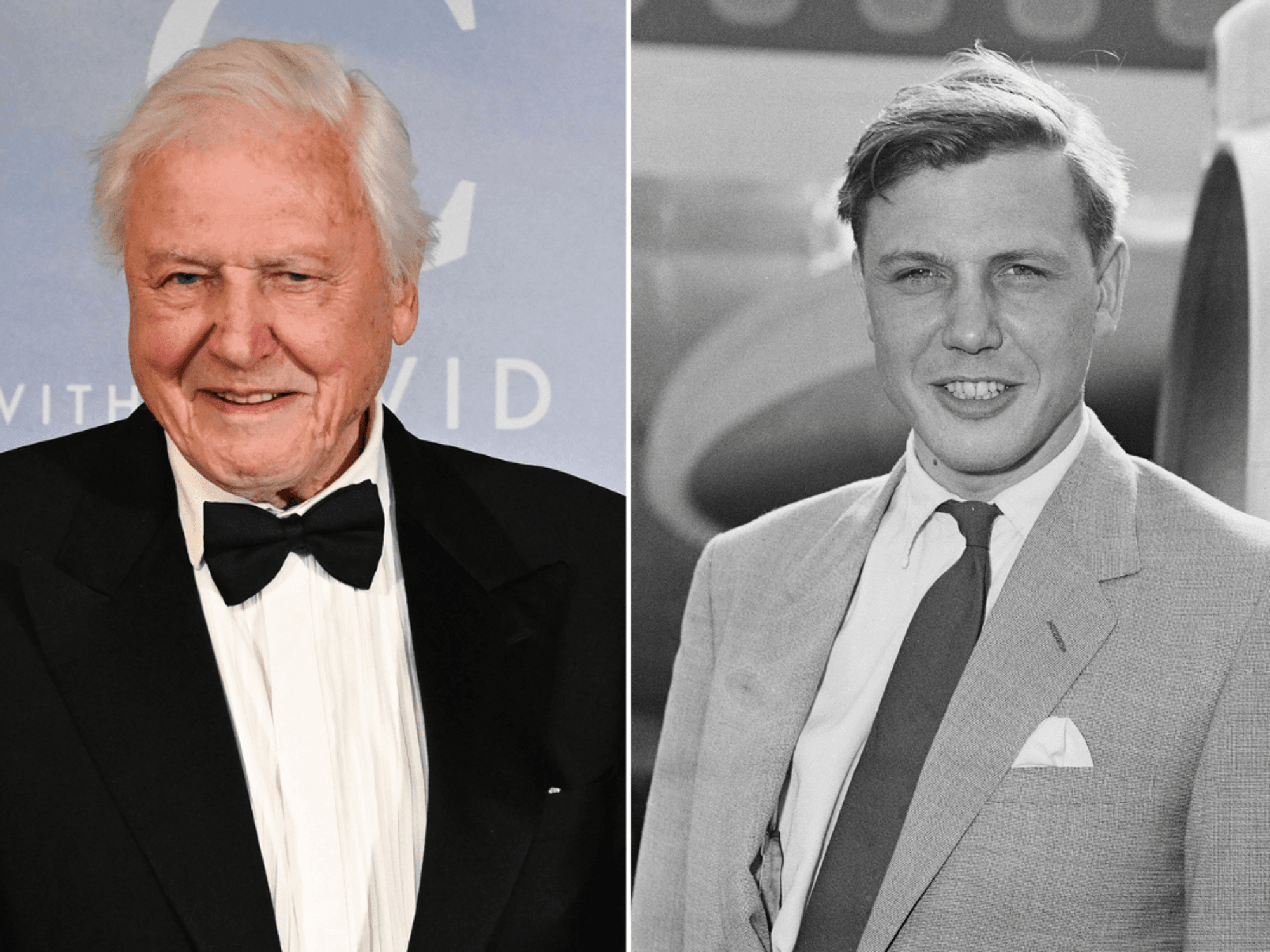 David Attenborough fans call for national bank holiday as BBC unveils major 100th birthday plans