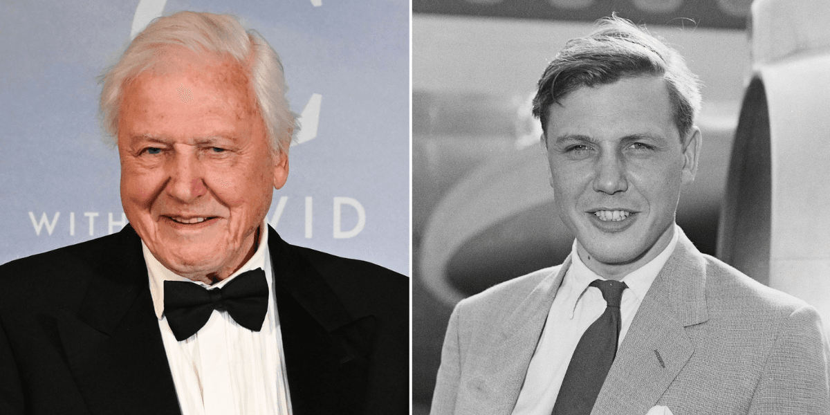 Fans call for national bank holiday as BBC unveils major celebration plans Fans call for national bank holiday as BBC unveils major celebration plans