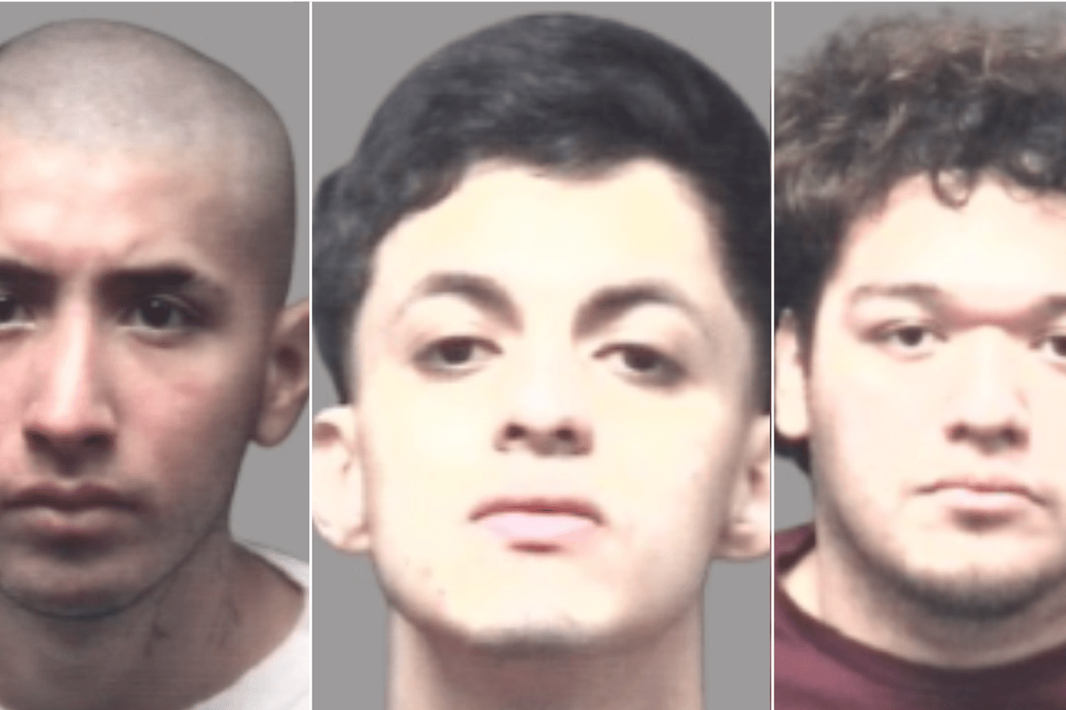 Illegal migrants charged in US after breaking into home before torturing and sexually assaulting its owner