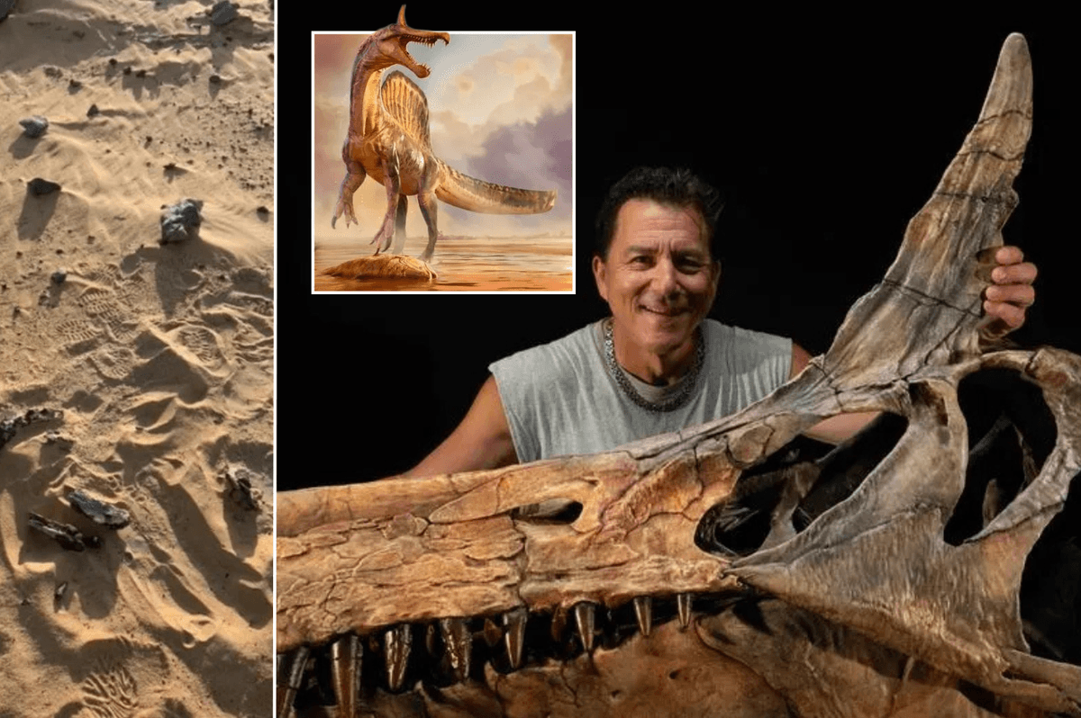 'Dinosaur from hell' with fearsome sword-like head discovered in desert for first time in 95 million years