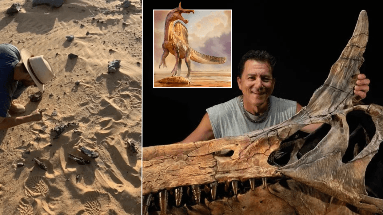 'Dinosaur from hell' with fearsome sword-like head discovered in desert for first time in 95 million years