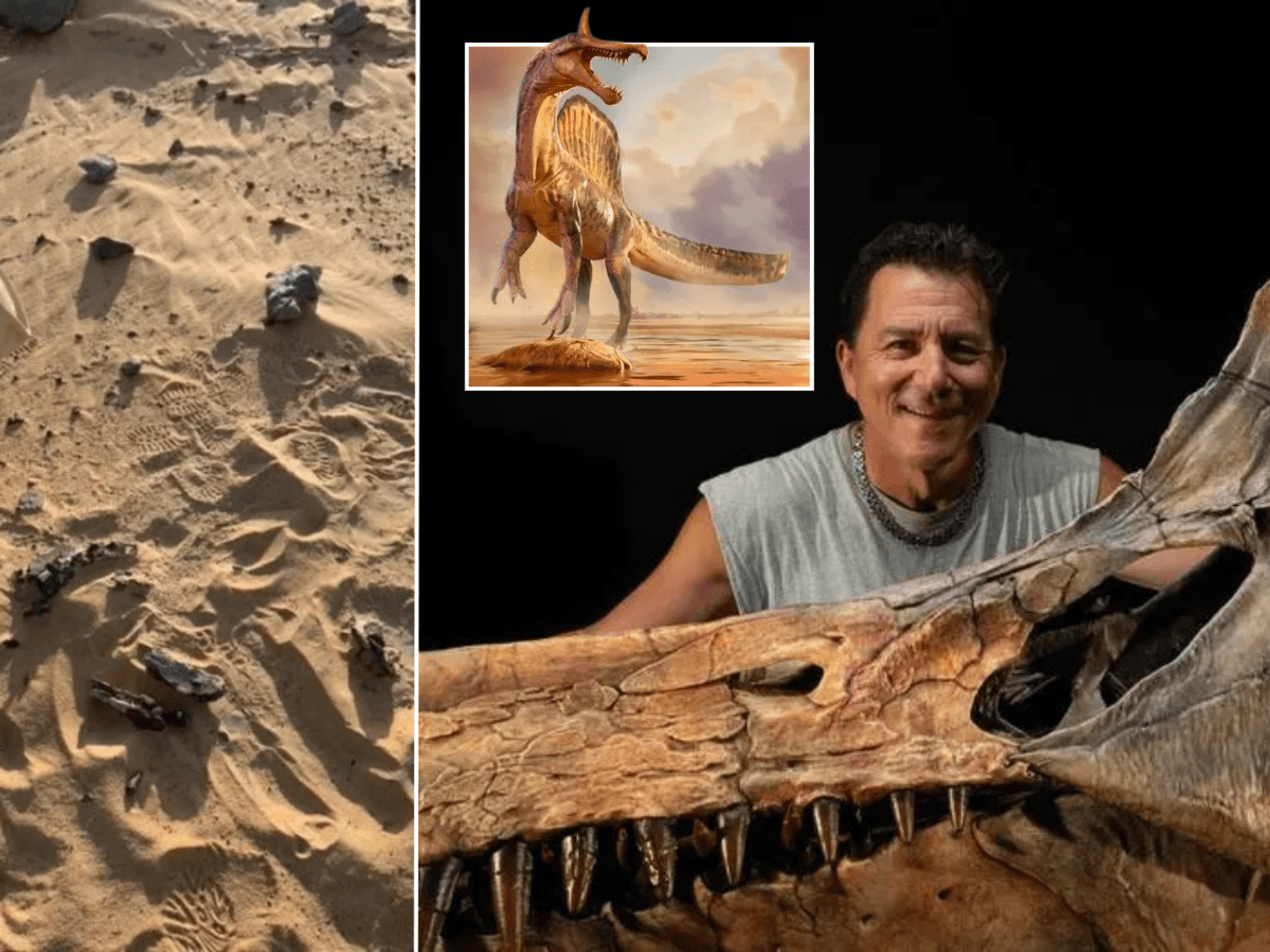 'Dinosaur from hell' with fearsome sword-like head discovered in desert for first time in 95 mill...