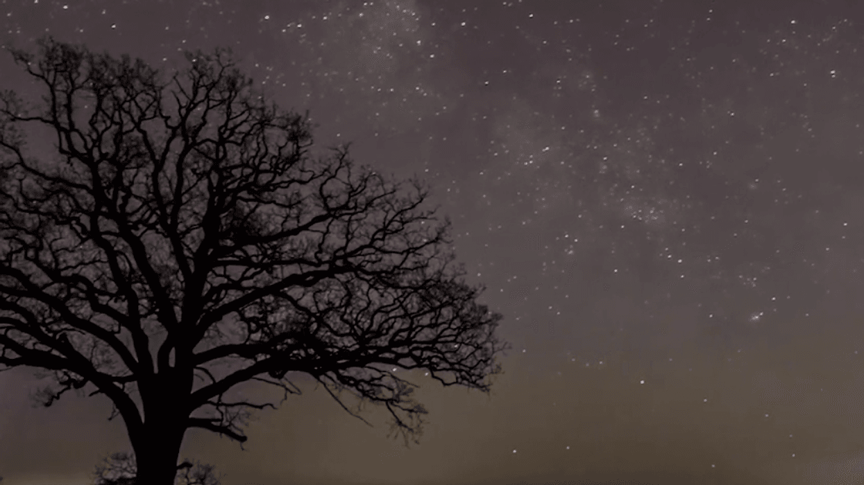 North Yorkshire celebrates rich stargazing tradition with Dark Skies Festival