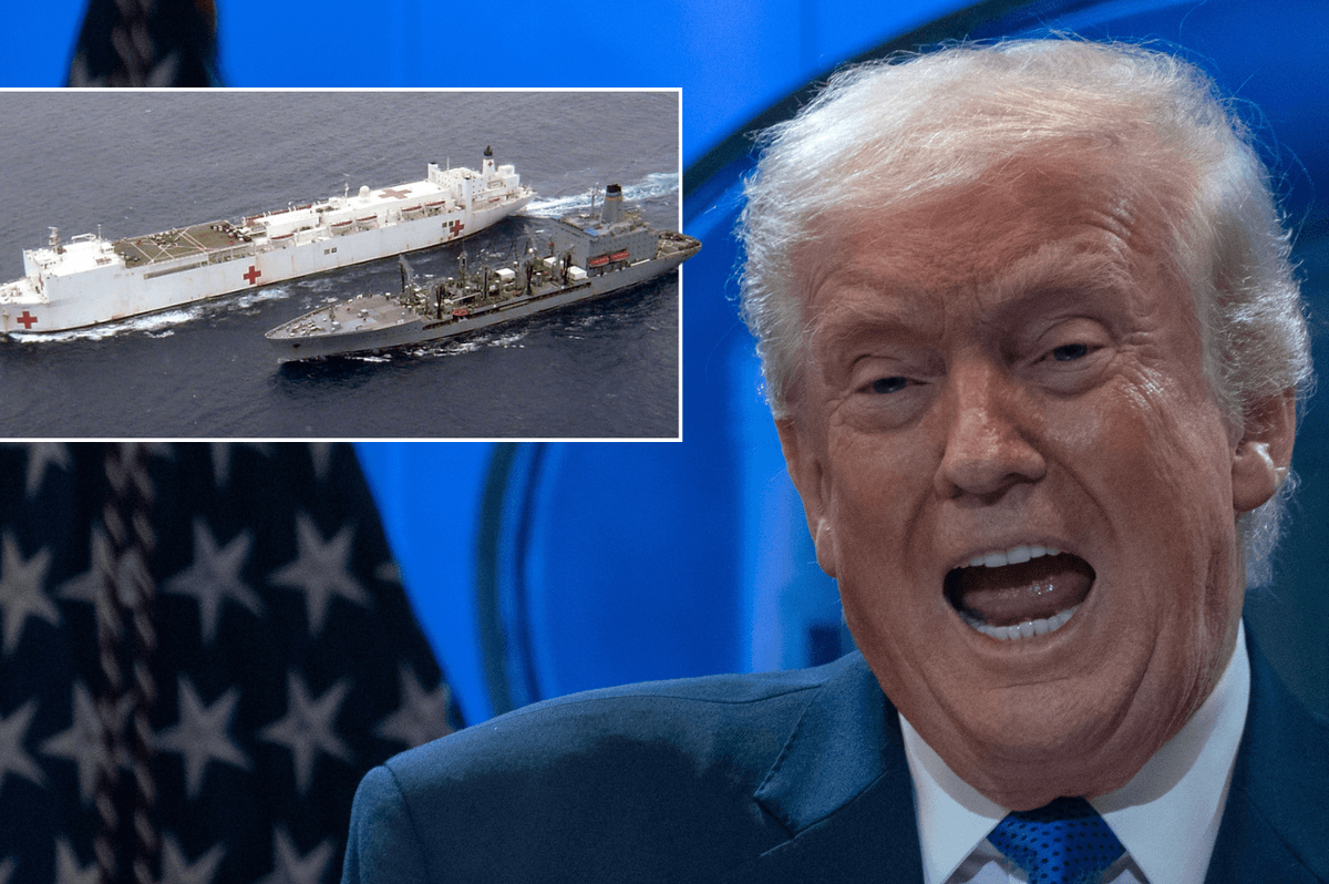 Donald Trump reveals cryptic plan to send 65,000-tonne Navy ship to Greenland - 'It's on the way!'