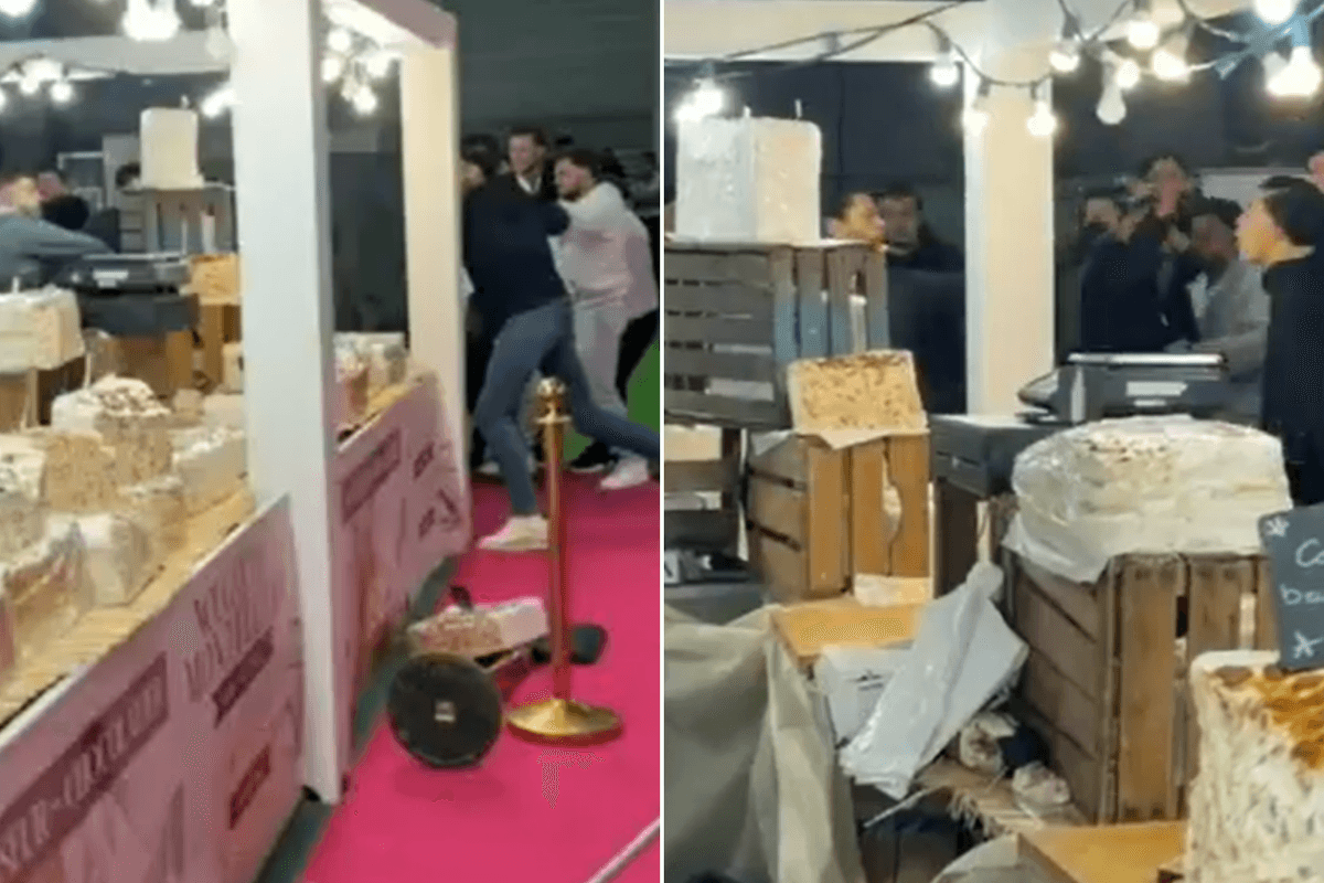 Chaos erupts at Paris agriculture show as French farmers swing CHEESEBOARDS in mass brawl