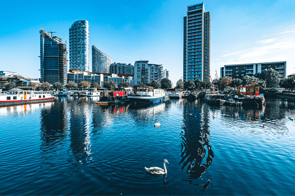 Bird flu fears grow after dozens of dead swans found in London Docklands