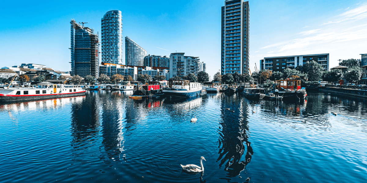 Bird flu fears grow after dozens of dead swans found in capital city docklands Bird flu fears grow after dozens of dead swans found in capital city docklands