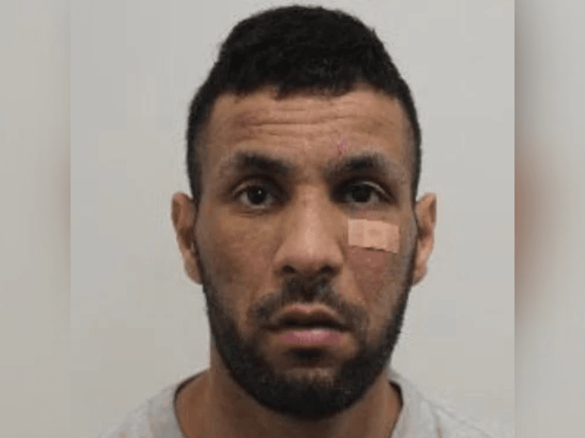 Thief who snatched handbag in London pub stunned after finding £2m Fabergé egg inside