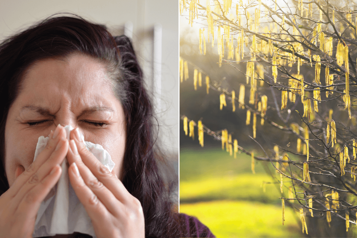Alert for millions of Britons as hay fever 'perfect storm' strikes WEEKS early amid balmy February weather