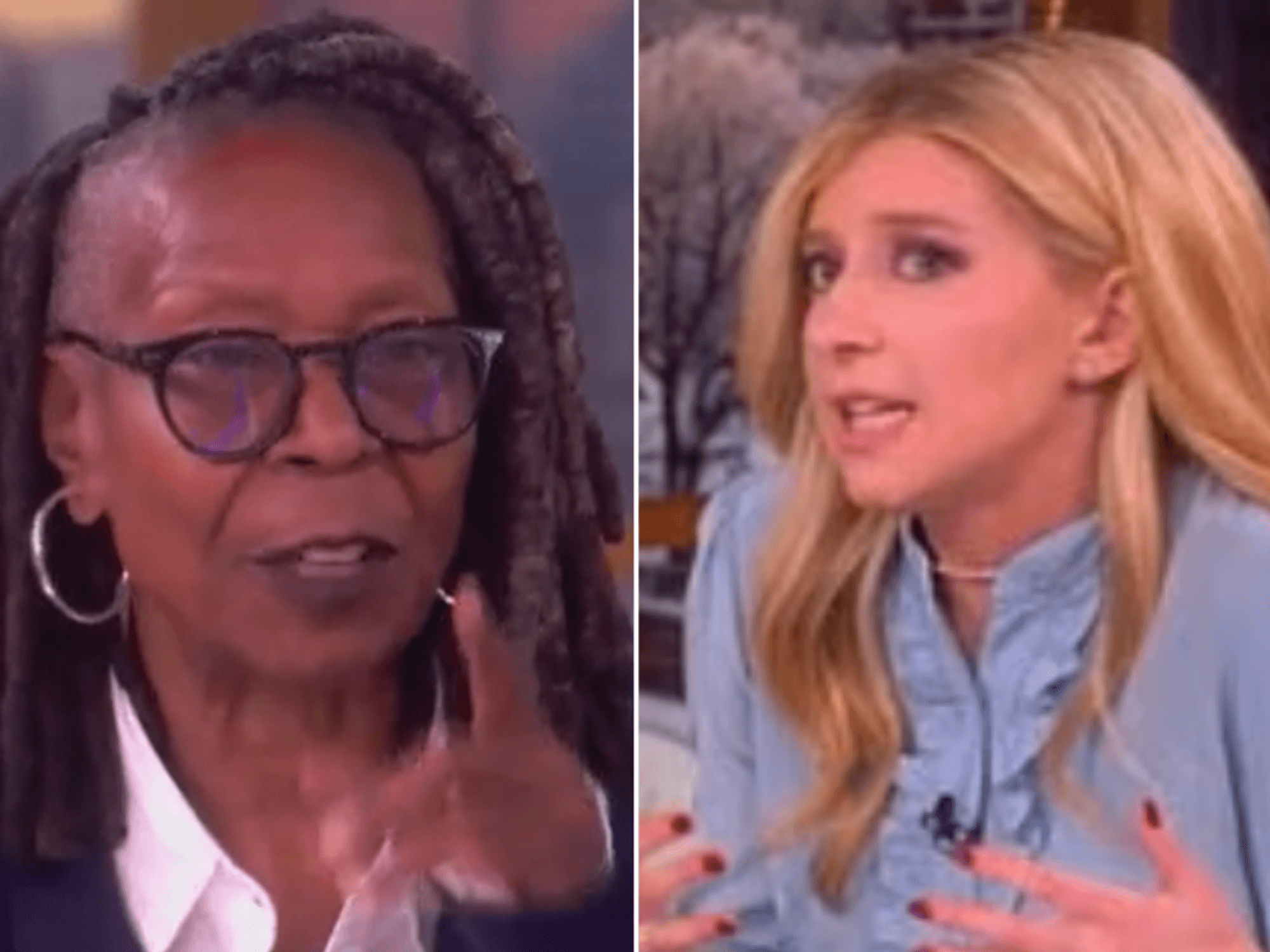 Whoopi Goldberg humiliated as woke actress's Donald Trump claims brutally fact-checked by financi...