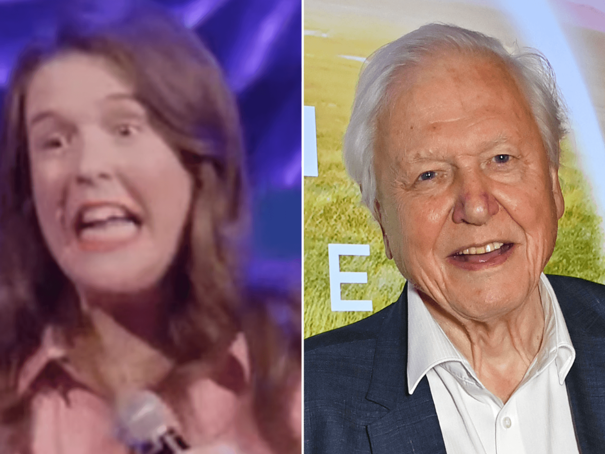 Comedian Rosie Jones comes under fire for 'unclassy' David Attenborough death gag: 'Just not funny!'