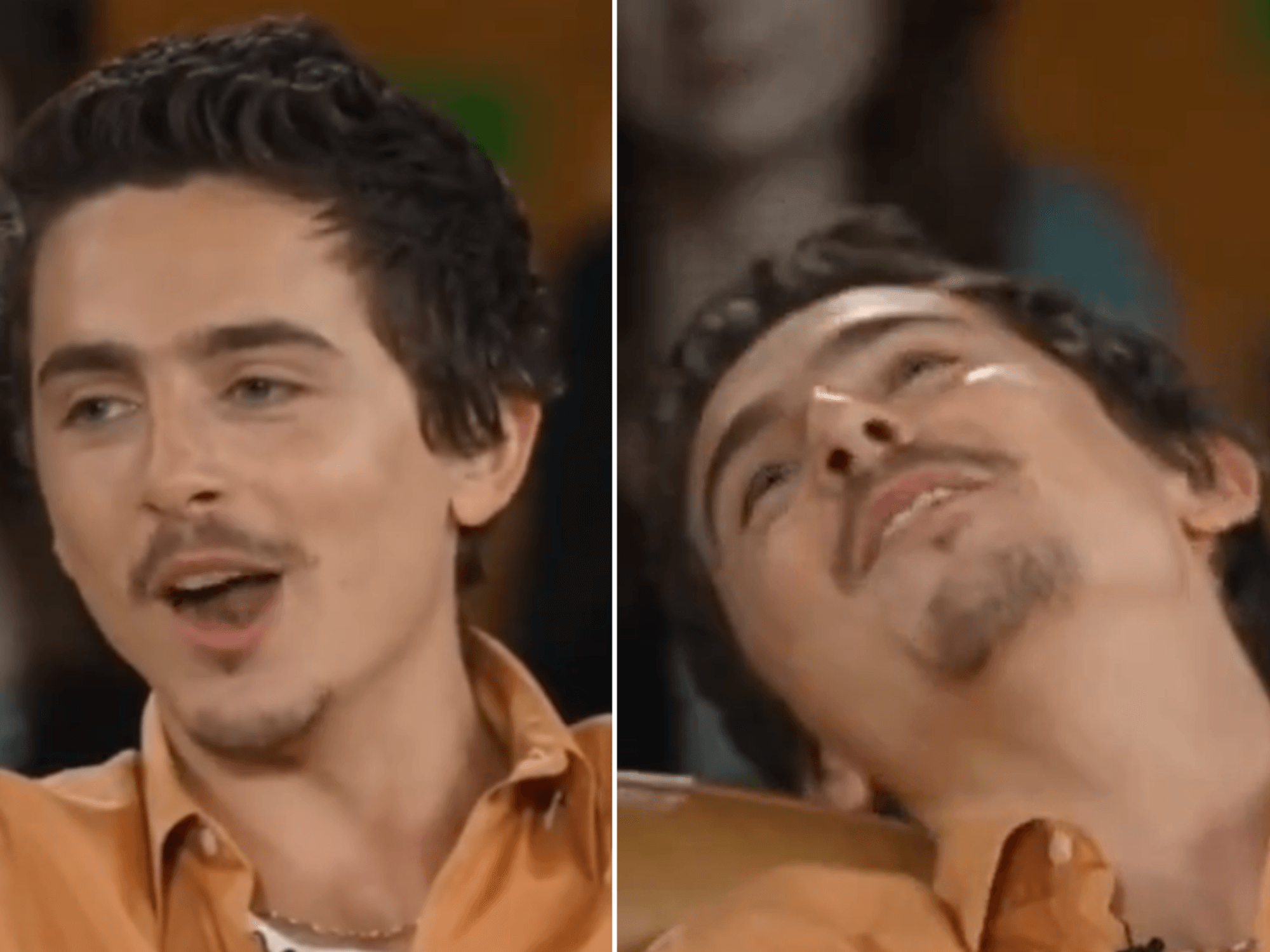 Timothée Chalamet sparks fury worldwide with 'out of touch' comment on 'ballet and opera people':...