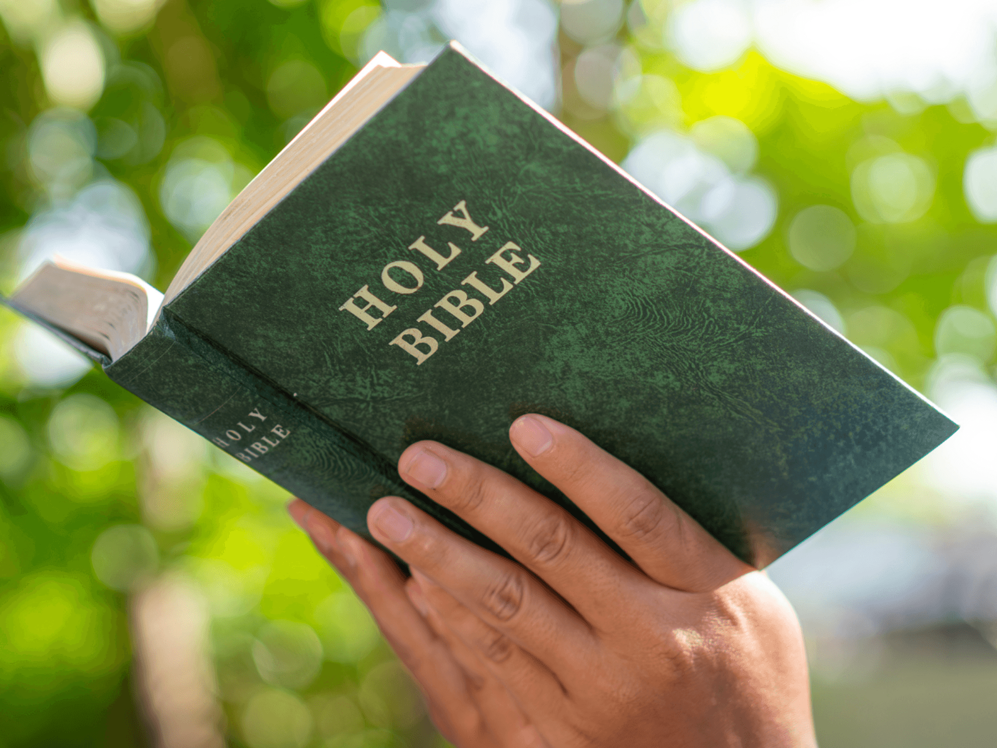 Bible sales surge to highest level on record as Britain's Christian revival continues