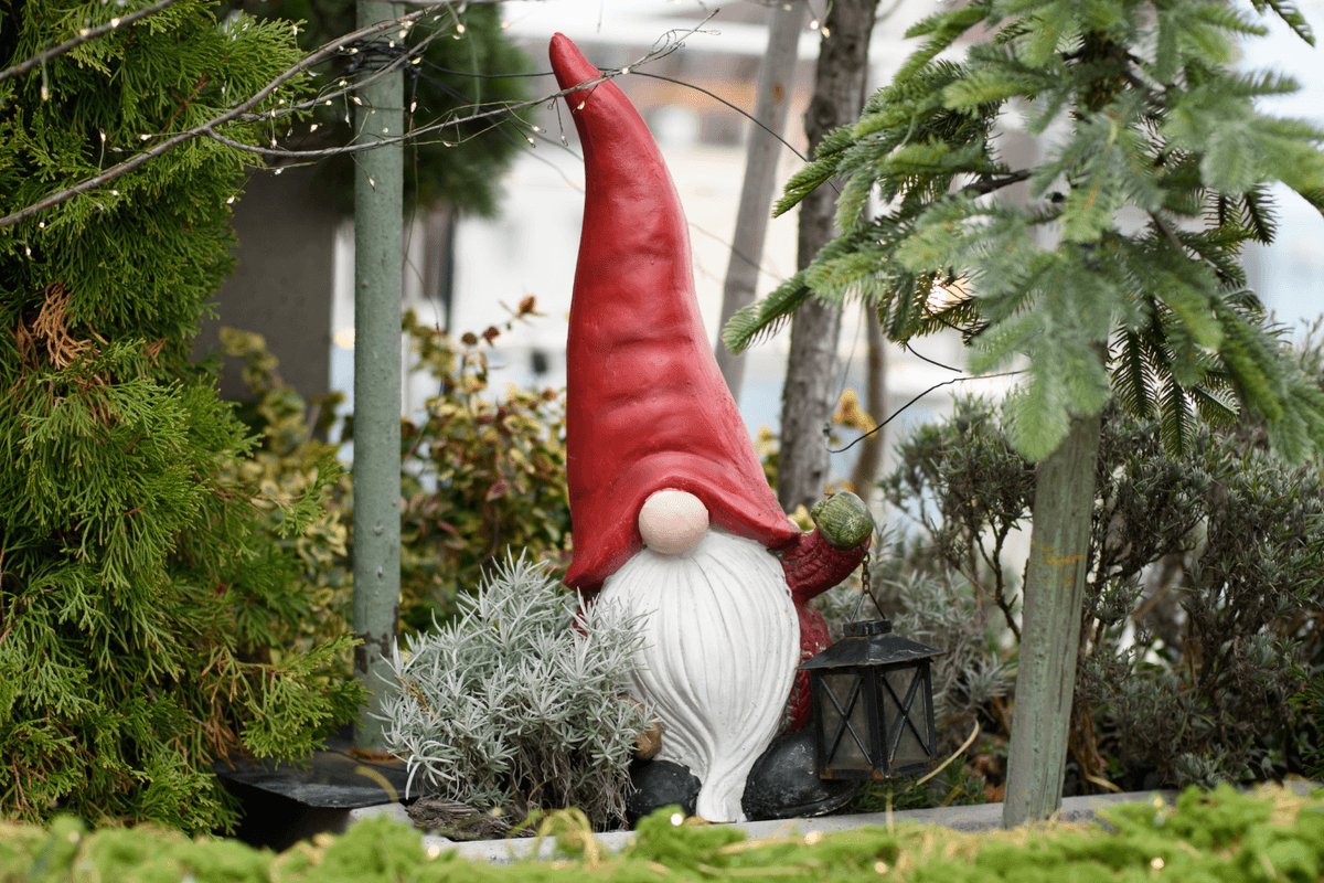 Couple tried to annex neighbours' land with garden gnome - then claimed squatter's rights