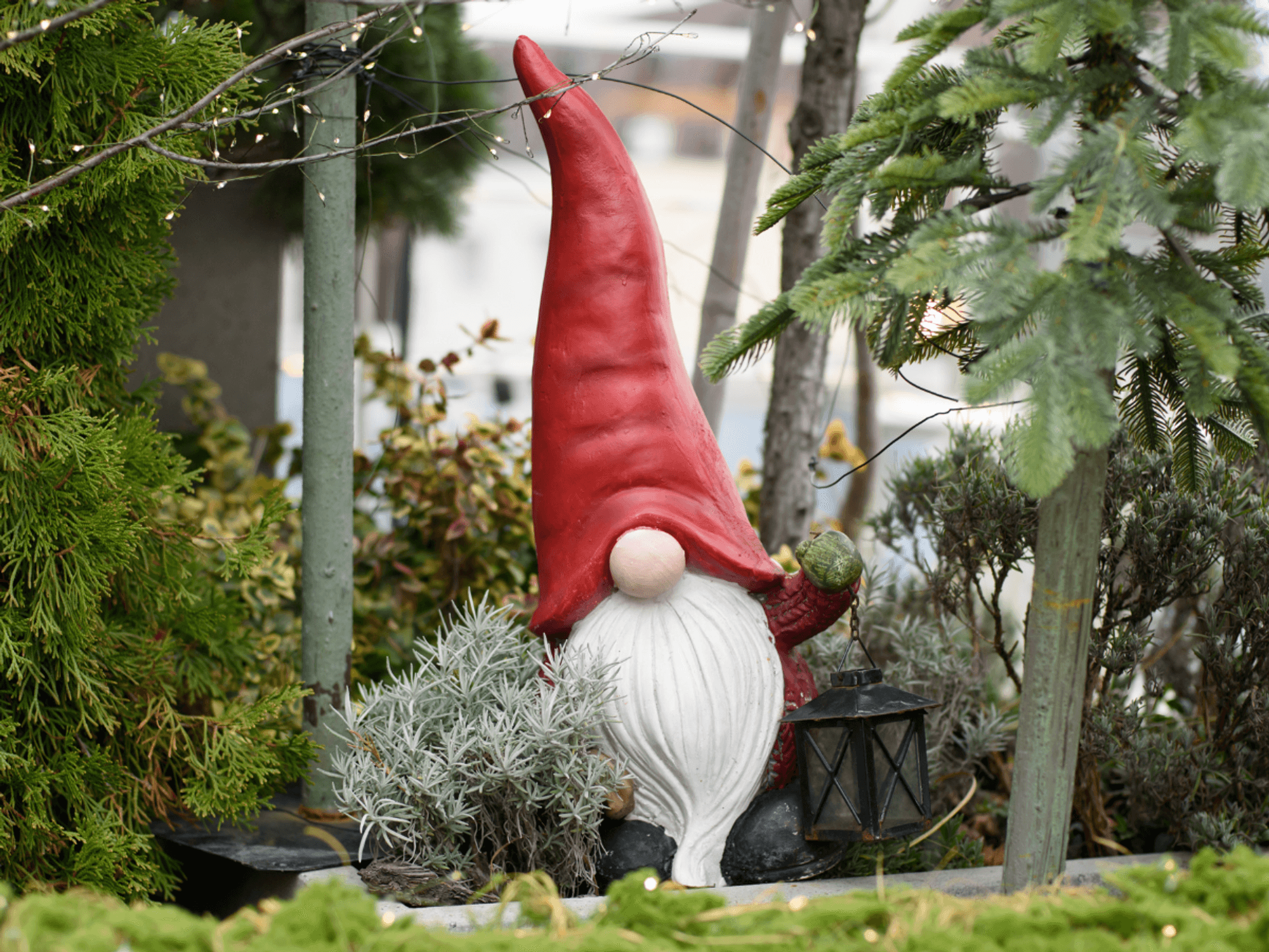 Couple tried to annex neighbours' land with garden gnome - then claimed squatter's rights