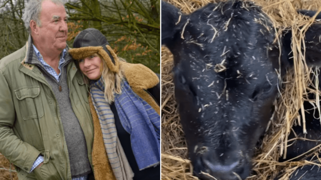 Jeremy Clarkson welcomes adorable new arrival after ‘late night’ at Diddly Squat Farm