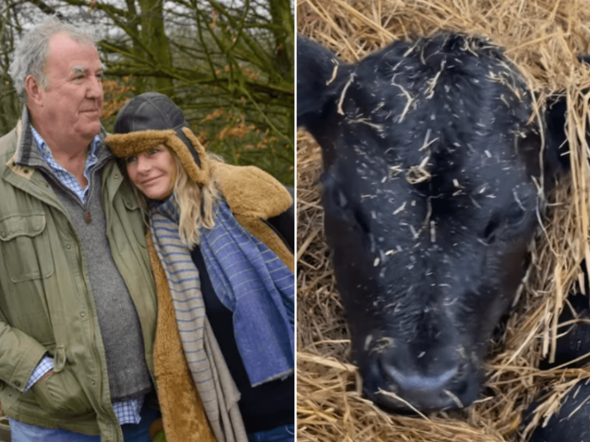 Jeremy Clarkson welcomes adorable new arrival after ‘late night’ at Diddly Squat Farm