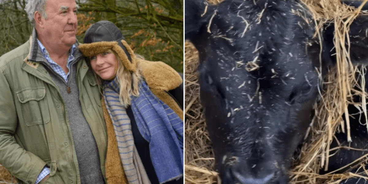 Jeremy Clarkson welcomes adorable new arrival after ‘late night’ at Diddly Squat Farm Jeremy Clarkson welcomes adorable new arrival after ‘late night’ at Diddly Squat Farm