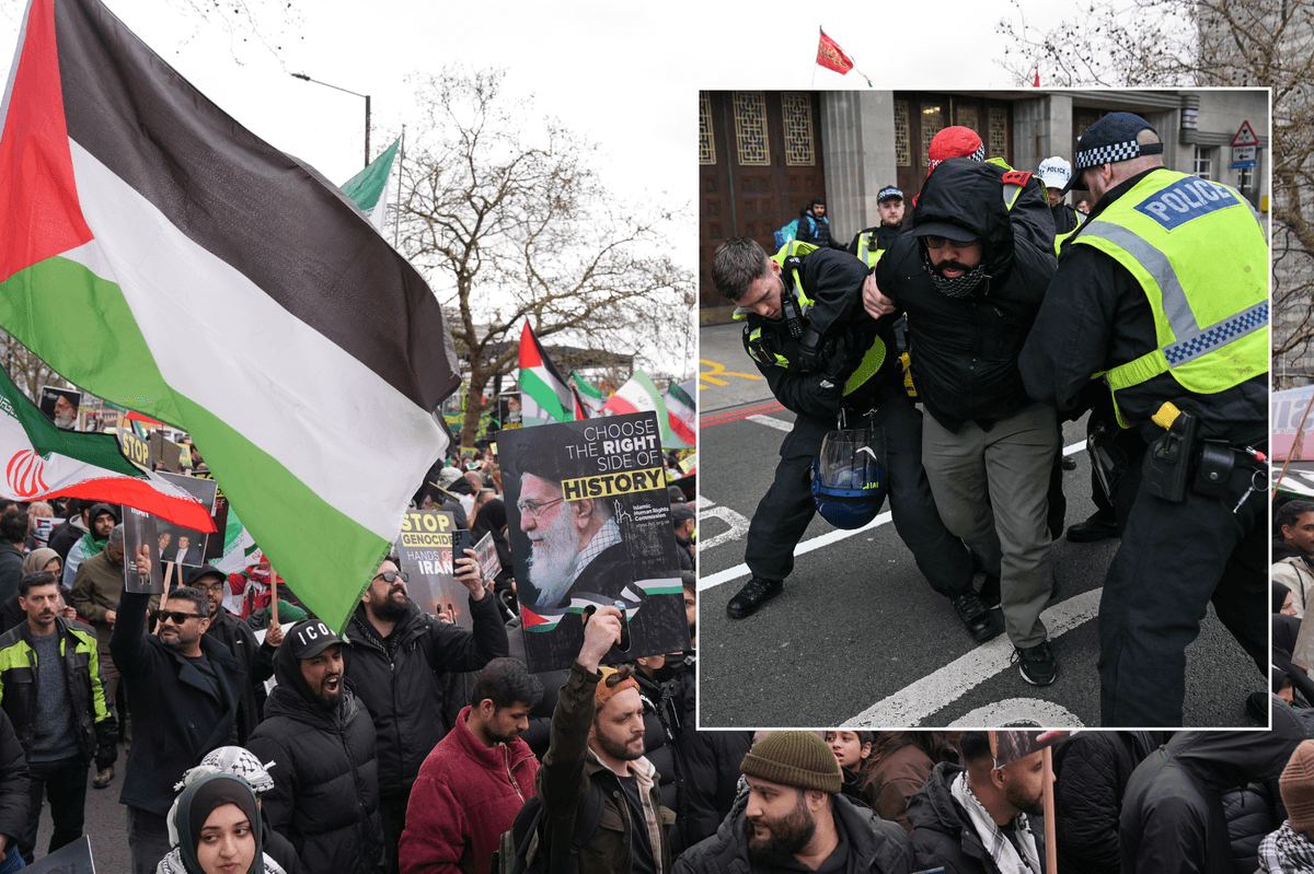 Thousands of pro-regime protesters gather in London for 'hate rally' - Police make arrests