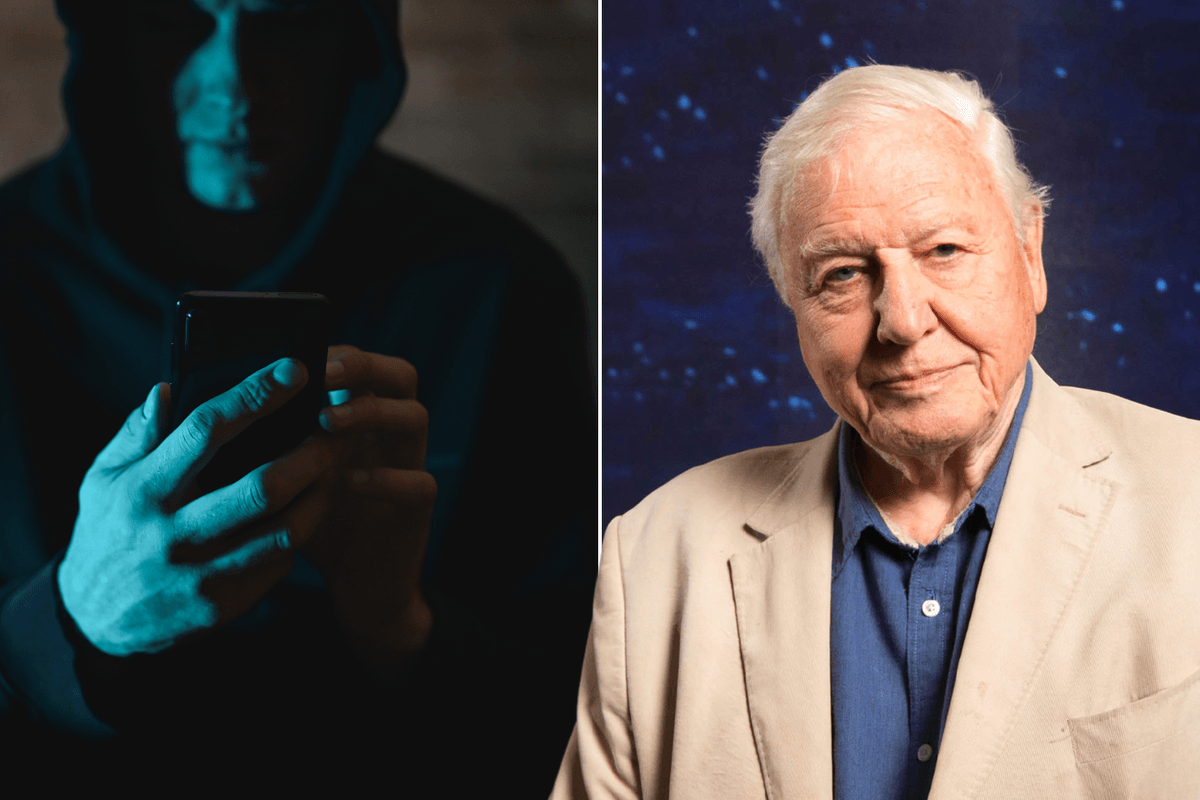 Widow, 74, scammed out of half her life savings by fraudster posing as David Attenborough