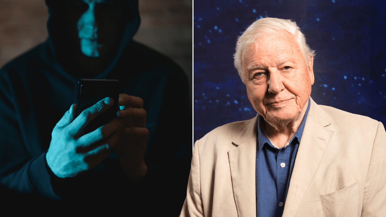 Widow, 74, scammed out of half her life savings by fraudster posing as David Attenborough