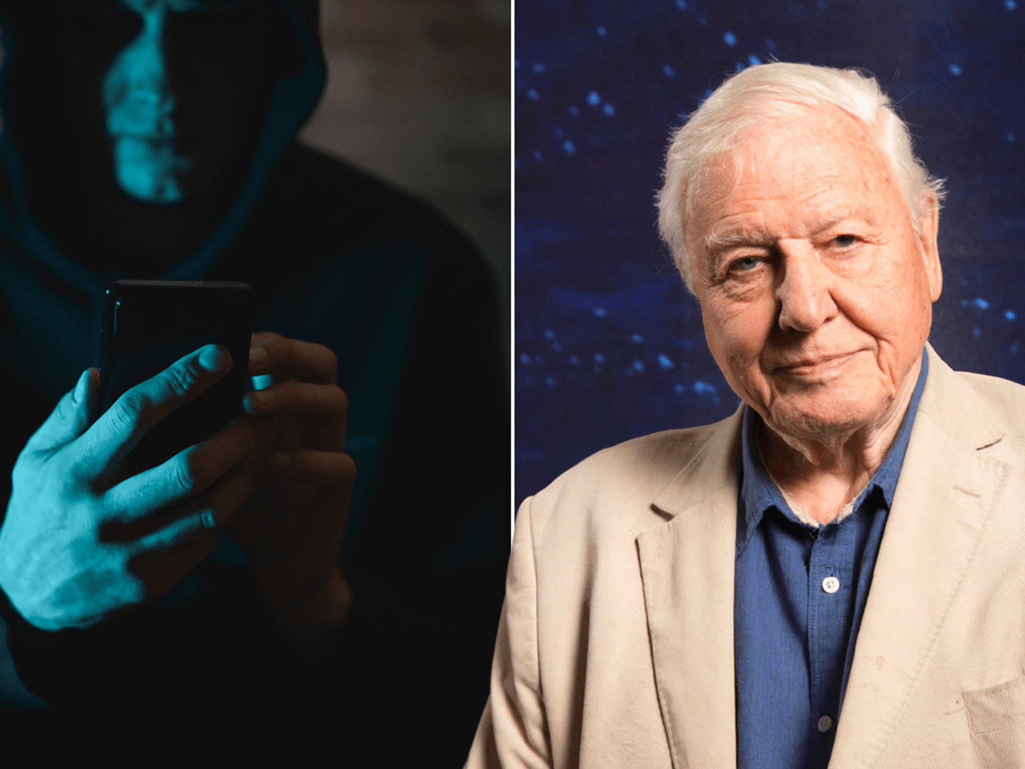 Widow, 74, scammed out of half her life savings by fraudster posing as David Attenborough