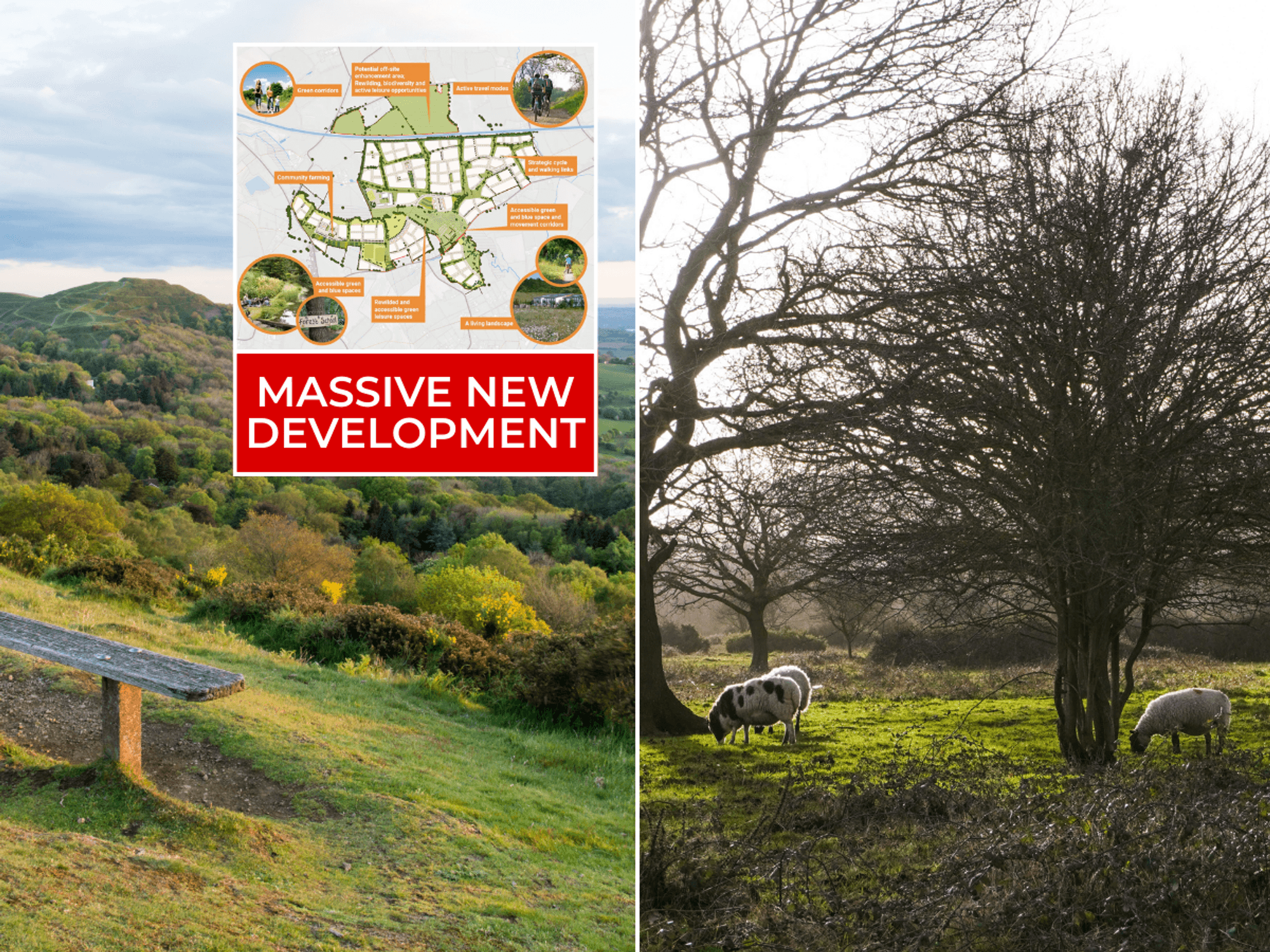 British beauty spot to be swamped by 3,500 new homes as locals rage at 'ludicrous' council plans