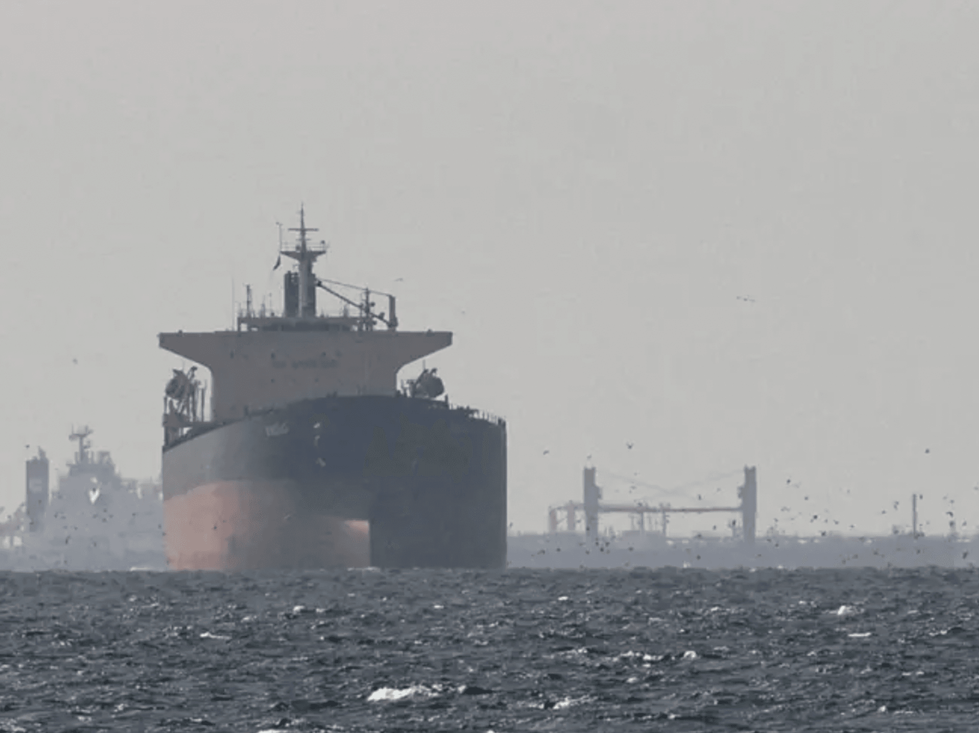 POLL: Should Britain send warships to the Strait of Hormuz? YOU DECIDE