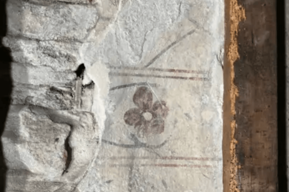 Medieval mural discovered behind castle wall during renovation work - 'Absolutely phenomenal!'