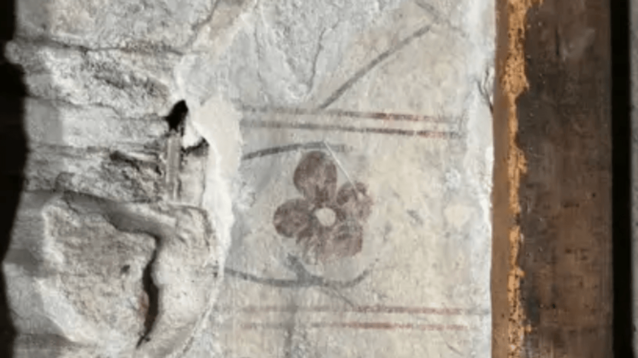 Medieval mural discovered behind castle wall during renovation work - 'Absolutely phenomenal!'