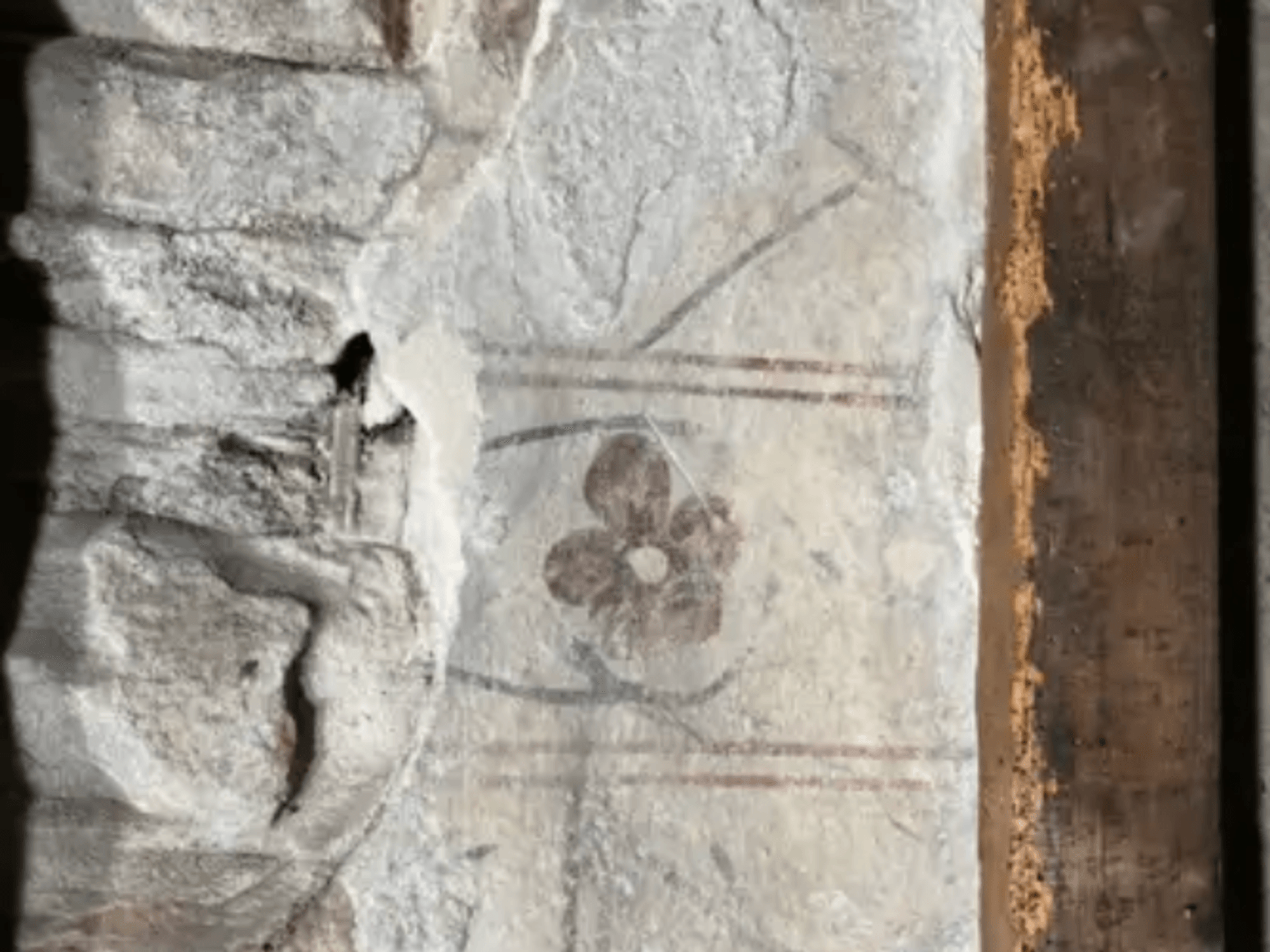 Medieval mural discovered behind castle wall during renovation work - 'Absolutely phenomenal!'