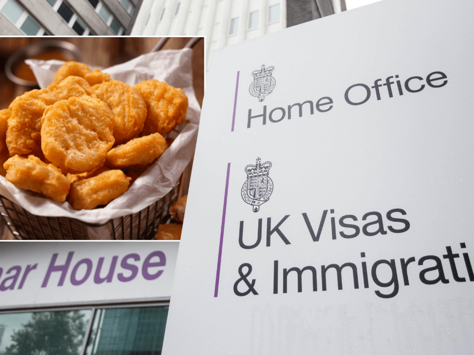 Infamous 'chicken nugget migrant' WINS appeal to stay in Britain